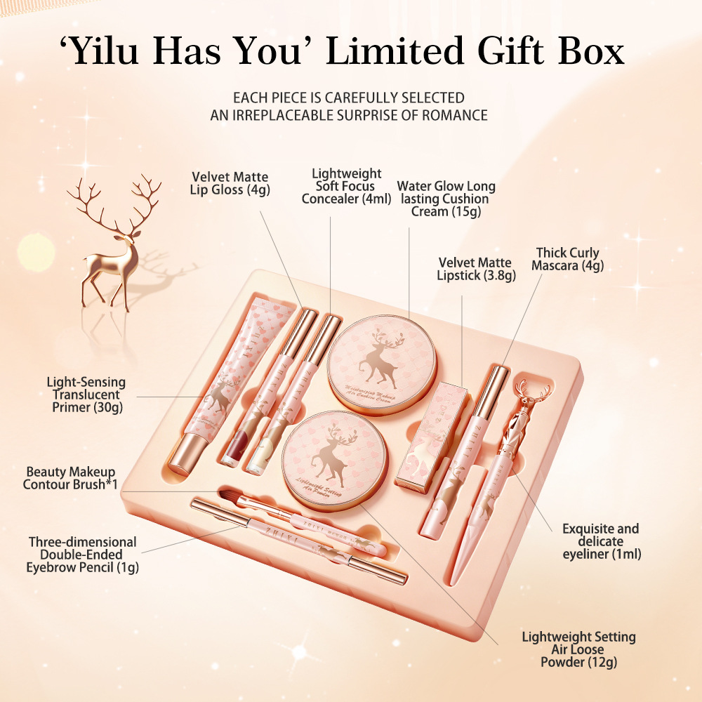 Make-up-Geschenkset, Komplette – Beauty Makeup Kit Box Bewertung und Preis